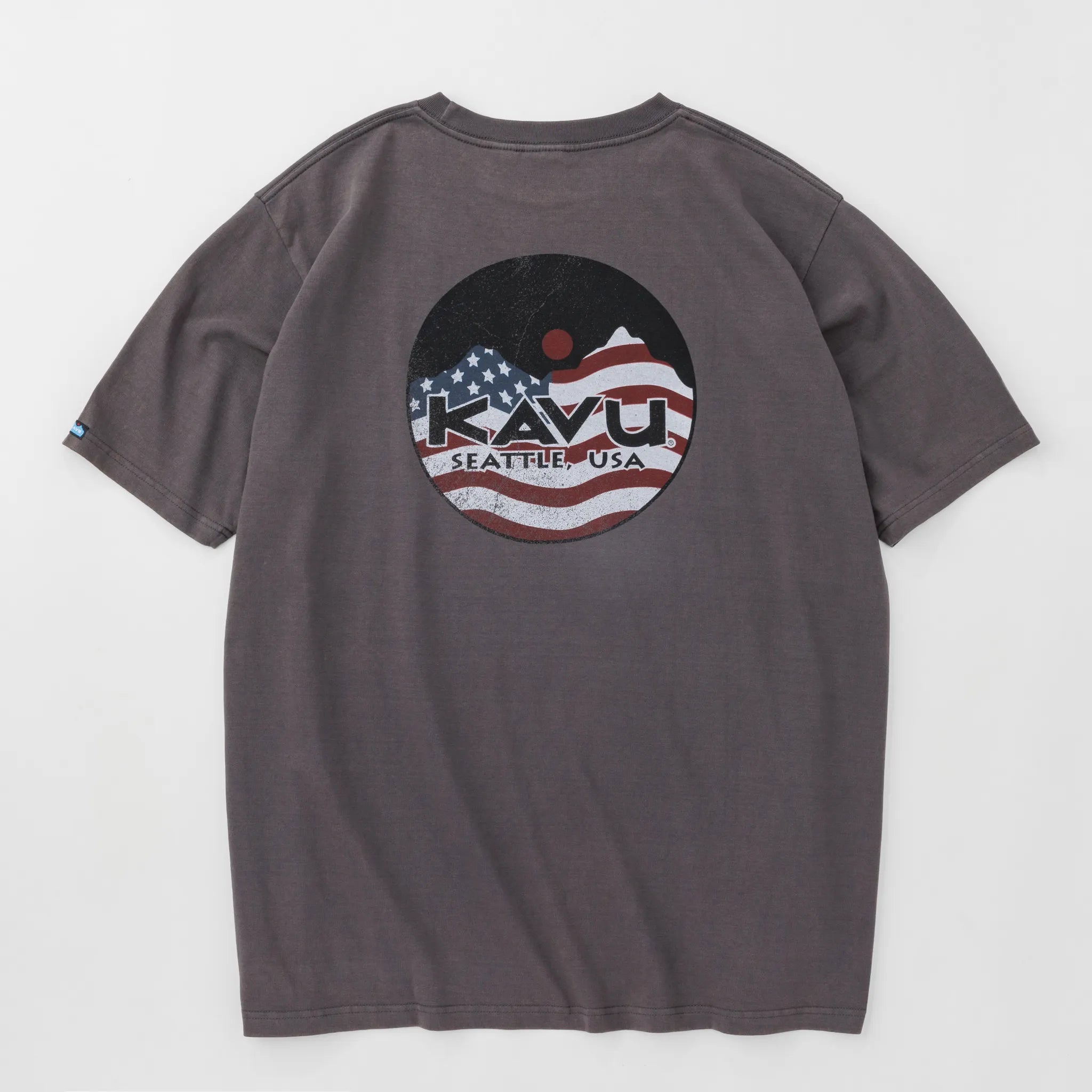 Usa Logo Tee
