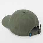 Apple Cap