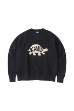 Turtle Sweat