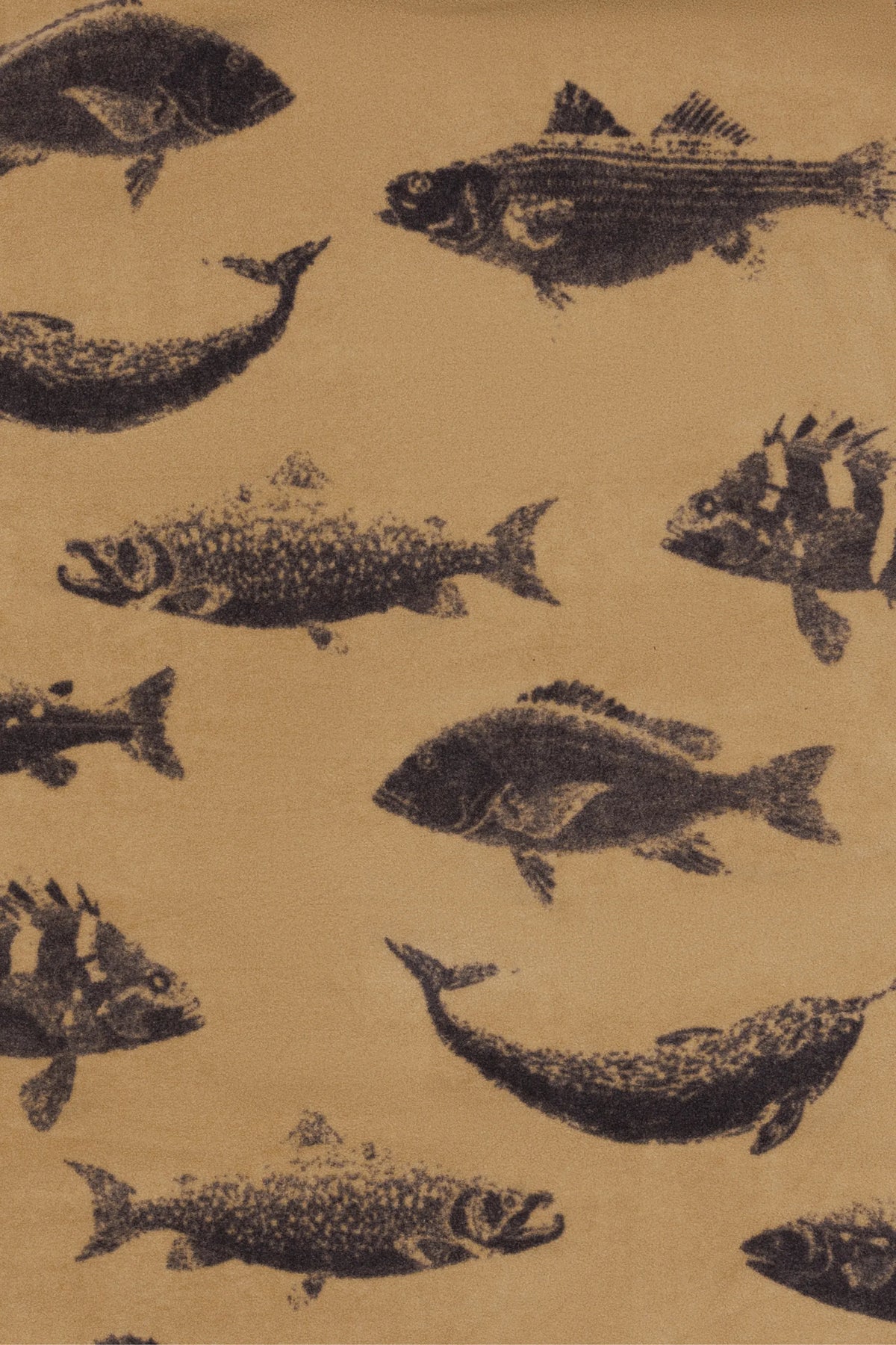 Doe Bay Blanket